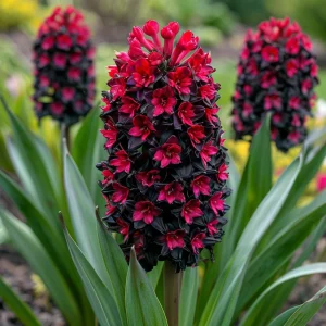 Гиацинт Джем Стоун купить по цене от 2099р. в интернет-магазине «Посадика» с доставкой почтой в в Котовое и по всей России – [изображение №1].