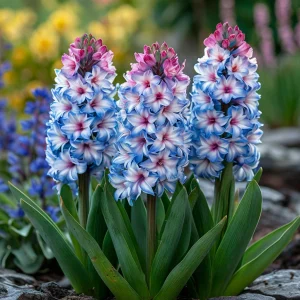 Гиацинт Пинк Мари купить по цене от 2099р. в интернет-магазине «Посадика» с доставкой почтой в в Котовое и по всей России – [изображение №1].