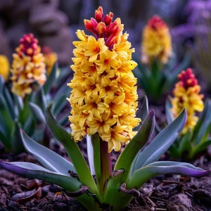 Гиацинт Миднайт Мистери купить по цене от 2099р. в интернет-магазине «Посадика» с доставкой почтой в в Котовое и по всей России – [изображение №1].