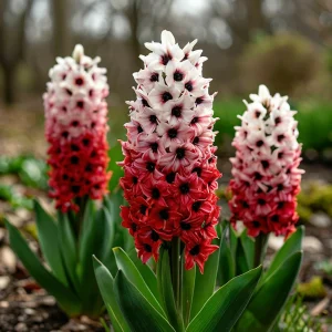 Гиацинт Скай Гарден купить по цене от 2099р. в интернет-магазине «Посадика» с доставкой почтой в в Котовое и по всей России – [изображение №1].